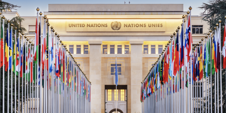 Israel Rejects UN Report, Calls Sexual Violence Allegations Baseless